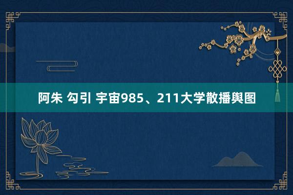 阿朱 勾引 宇宙985、211大学散播舆图