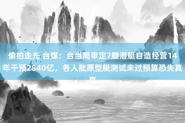 偷拍走光 台媒：台当局审定7艘潜艇自造经营14年干预2840亿，各人批原型艇测试未过预算恐失真