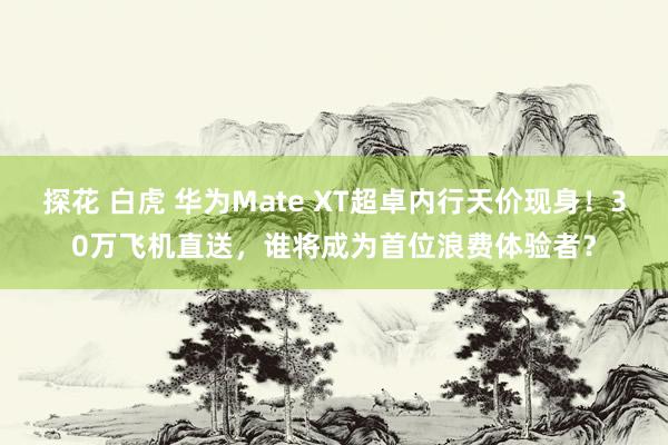 探花 白虎 华为Mate XT超卓内行天价现身！30万飞机直送，谁将成为首位浪费体验者？