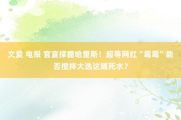 文爱 电报 官宣撑握哈里斯！超等网红“霉霉”能否搅拌大选这摊死水？