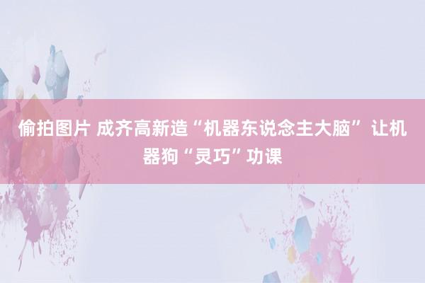 偷拍图片 成齐高新造“机器东说念主大脑” 让机器狗“灵巧”功课