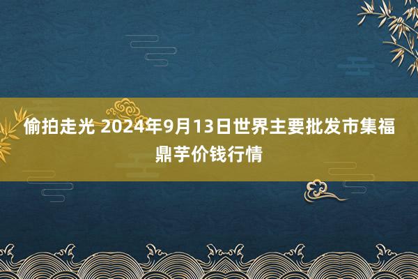 偷拍走光 2024年9月13日世界主要批发市集福鼎芋价钱行情