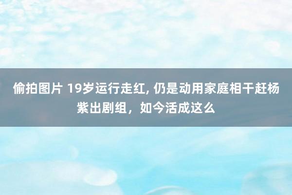 偷拍图片 19岁运行走红， 仍是动用家庭相干赶杨紫出剧组，如今活成这么