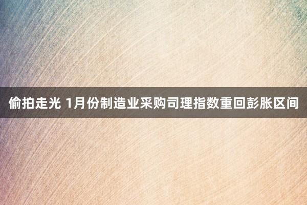 偷拍走光 1月份制造业采购司理指数重回彭胀区间