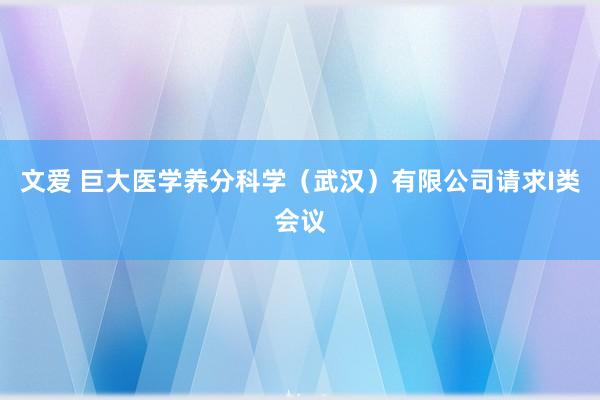 文爱 巨大医学养分科学（武汉）有限公司请求I类会议