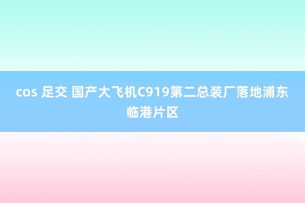 cos 足交 国产大飞机C919第二总装厂落地浦东临港片区