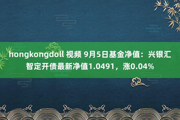 hongkongdoll 视频 9月5日基金净值：兴银汇智定开债最新净值1.0491，涨0.04%