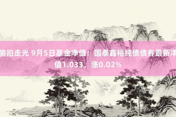 偷拍走光 9月5日基金净值：国泰鑫裕纯债债券最新净值1.033，涨0.02%