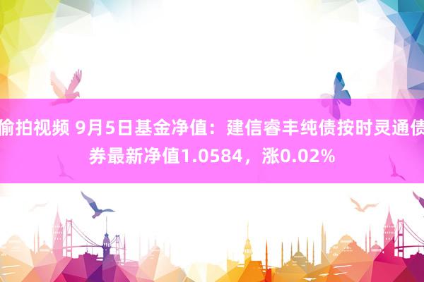 偷拍视频 9月5日基金净值：建信睿丰纯债按时灵通债券最新净值1.0584，涨0.02%