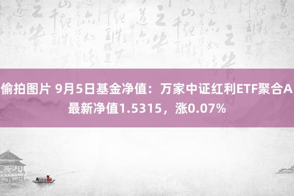 偷拍图片 9月5日基金净值：万家中证红利ETF聚合A最新净值1.5315，涨0.07%