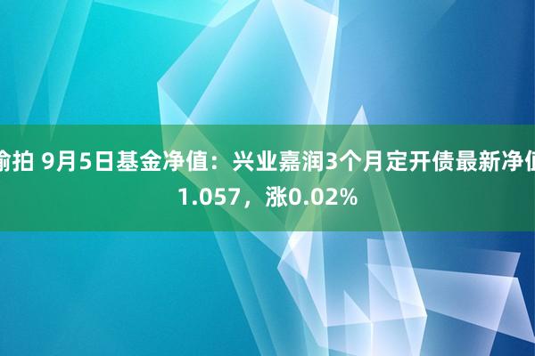 偷拍 9月5日基金净值：兴业嘉润3个月定开债最新净值1.057，涨0.02%