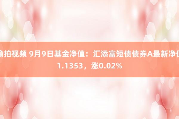 偷拍视频 9月9日基金净值：汇添富短债债券A最新净值1.1353，涨0.02%