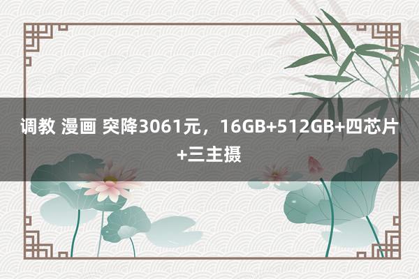 调教 漫画 突降3061元，16GB+512GB+四芯片+三主摄