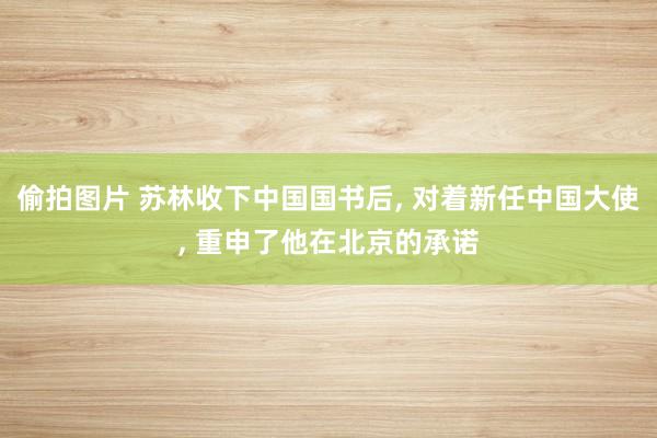 偷拍图片 苏林收下中国国书后， 对着新任中国大使， 重申了他在北京的承诺