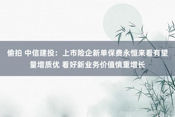 偷拍 中信建投：上市险企新单保费永恒来看有望量增质优 看好新业务价值慎重增长