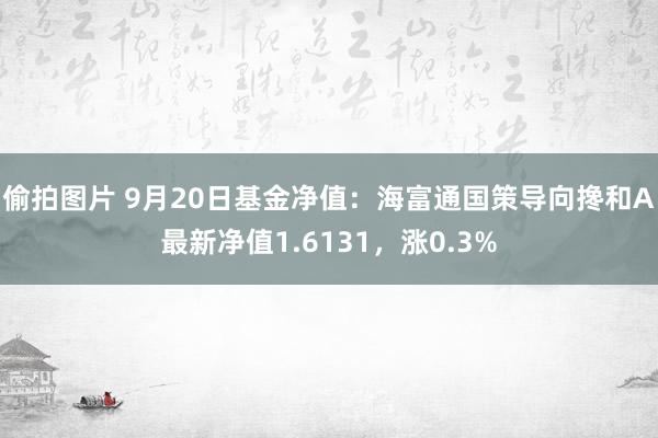 偷拍图片 9月20日基金净值：海富通国策导向搀和A最新净值1.6131，涨0.3%