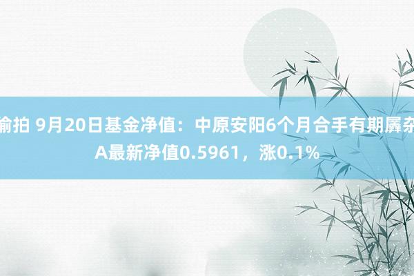 偷拍 9月20日基金净值：中原安阳6个月合手有期羼杂A最新净值0.5961，涨0.1%