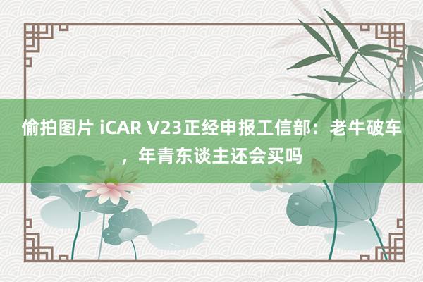 偷拍图片 iCAR V23正经申报工信部：老牛破车，年青东谈主还会买吗