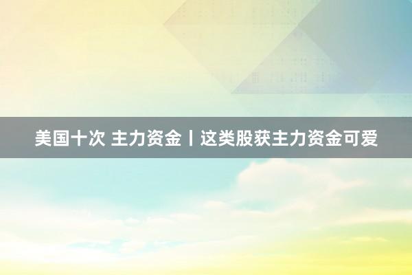 美国十次 主力资金丨这类股获主力资金可爱