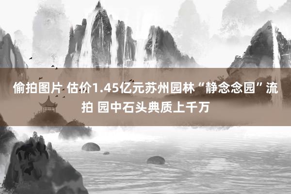 偷拍图片 估价1.45亿元苏州园林“静念念园”流拍 园中石头典质上千万