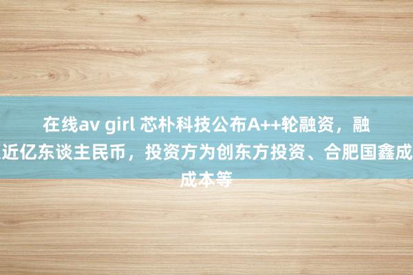 在线av girl 芯朴科技公布A++轮融资，融资额近亿东谈主民币，投资方为创东方投资、合肥国鑫成本等