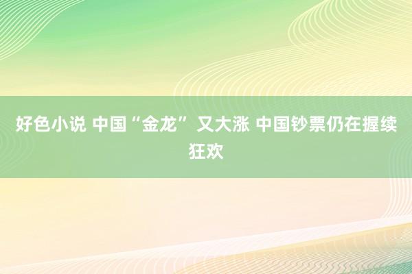 好色小说 中国“金龙” 又大涨 中国钞票仍在握续狂欢