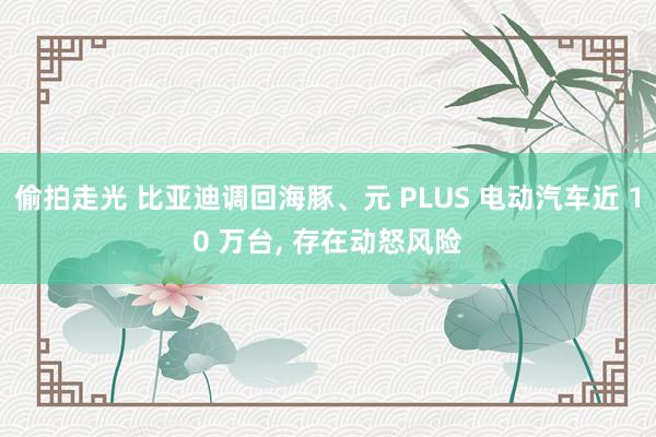 偷拍走光 比亚迪调回海豚、元 PLUS 电动汽车近 10 万台， 存在动怒风险