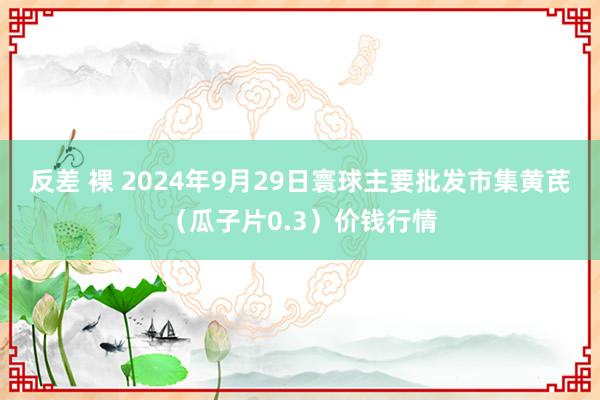 反差 裸 2024年9月29日寰球主要批发市集黄芪（瓜子片0.3）价钱行情