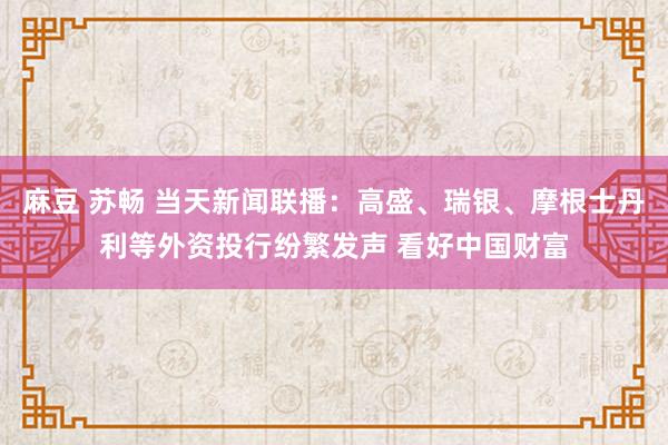 麻豆 苏畅 当天新闻联播：高盛、瑞银、摩根士丹利等外资投行纷繁发声 看好中国财富