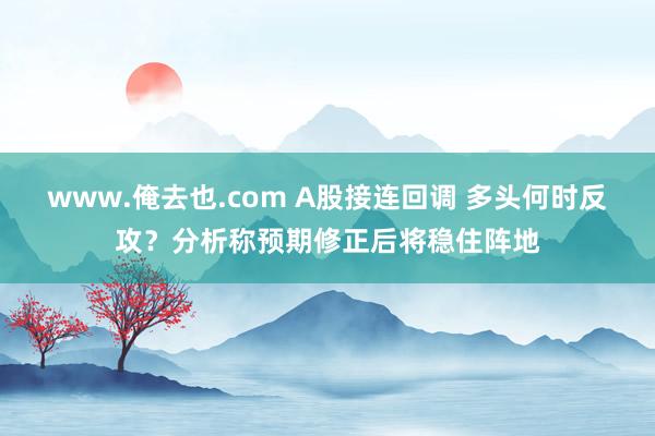 www.俺去也.com A股接连回调 多头何时反攻？分析称预期修正后将稳住阵地