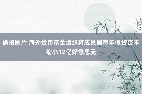 偷拍图片 海外货币基金组织将成员国每年假贷资本缩小12亿好意思元