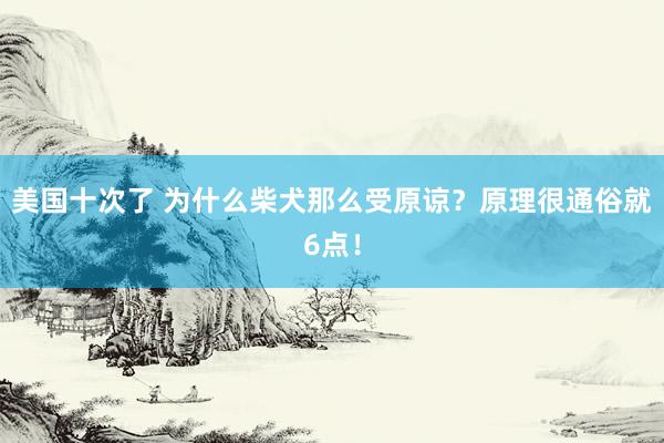 美国十次了 为什么柴犬那么受原谅？原理很通俗就6点！