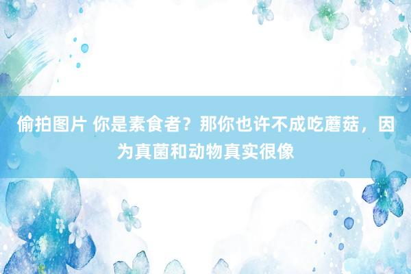 偷拍图片 你是素食者？那你也许不成吃蘑菇，因为真菌和动物真实很像