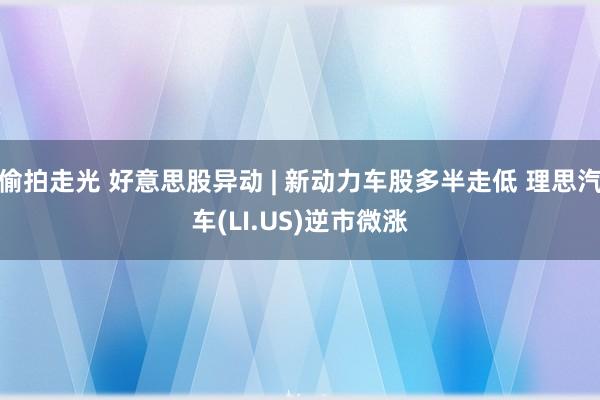 偷拍走光 好意思股异动 | 新动力车股多半走低 理思汽车(LI.US)逆市微涨