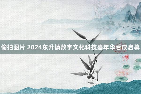 偷拍图片 2024东升镇数字文化科技嘉年华看成启幕