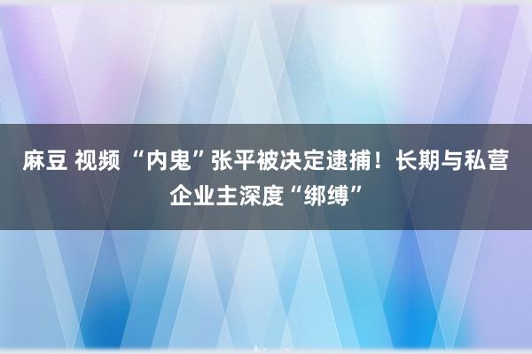 麻豆 视频 “内鬼”张平被决定逮捕！长期与私营企业主深度“绑缚”