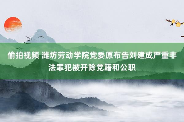 偷拍视频 潍坊劳动学院党委原布告刘建成严重非法罪犯被开除党籍和公职