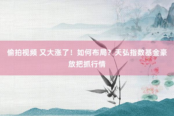 偷拍视频 又大涨了！如何布局？天弘指数基金豪放把抓行情