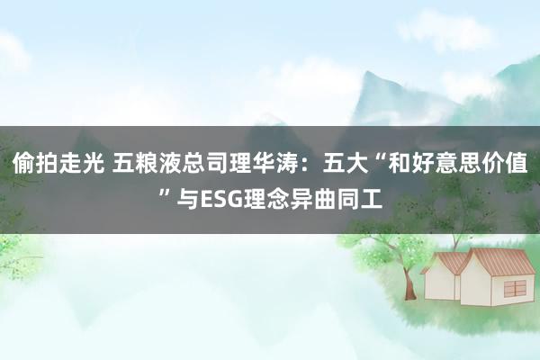 偷拍走光 五粮液总司理华涛：五大“和好意思价值”与ESG理念异曲同工