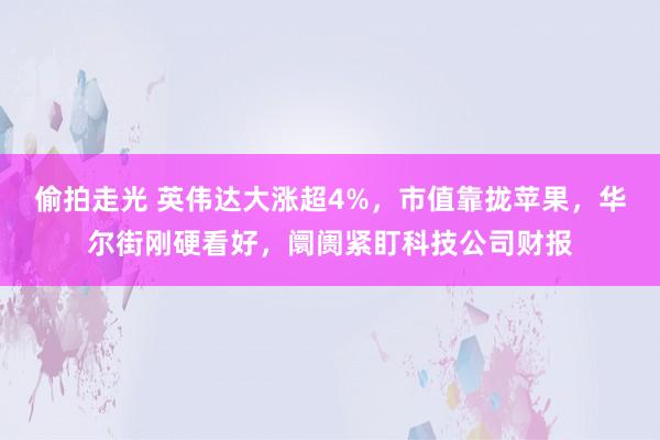 偷拍走光 英伟达大涨超4%，市值靠拢苹果，华尔街刚硬看好，阛阓紧盯科技公司财报