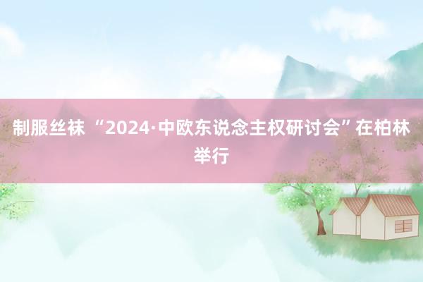 制服丝袜 “2024·中欧东说念主权研讨会”在柏林举行