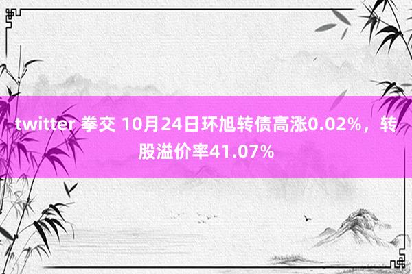 twitter 拳交 10月24日环旭转债高涨0.02%，转股溢价率41.07%