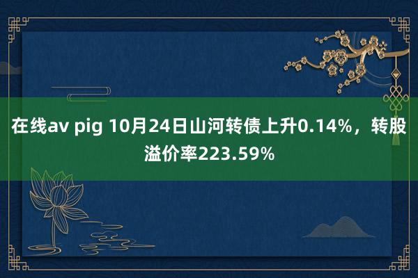 在线av pig 10月24日山河转债上升0.14%，转股溢价率223.59%