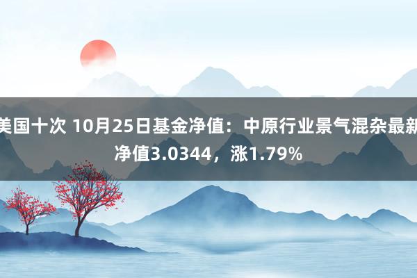 美国十次 10月25日基金净值：中原行业景气混杂最新净值3.0344，涨1.79%