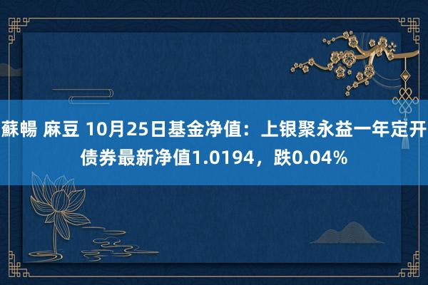 蘇暢 麻豆 10月25日基金净值：上银聚永益一年定开债券最新净值1.0194，跌0.04%