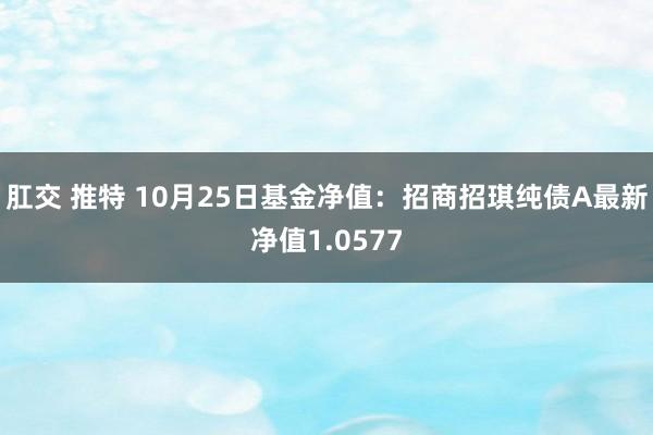 肛交 推特 10月25日基金净值：招商招琪纯债A最新净值1.0577