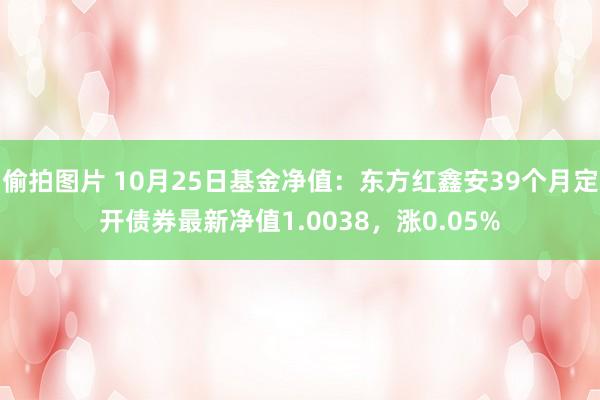 偷拍图片 10月25日基金净值：东方红鑫安39个月定开债券最新净值1.0038，涨0.05%