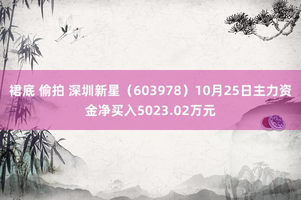 裙底 偷拍 深圳新星（603978）10月25日主力资金净买入5023.02万元