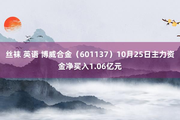 丝袜 英语 博威合金（601137）10月25日主力资金净买入1.06亿元