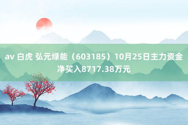 av 白虎 弘元绿能（603185）10月25日主力资金净买入8717.38万元